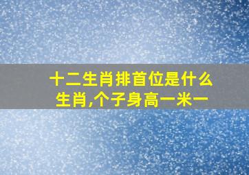 十二生肖排首位是什么生肖,个子身高一米一