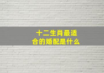 十二生肖最适合的婚配是什么