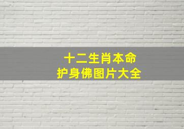 十二生肖本命护身佛图片大全