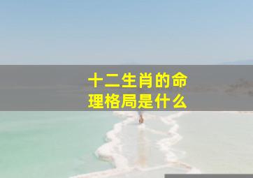 十二生肖的命理格局是什么