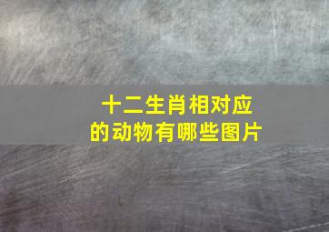 十二生肖相对应的动物有哪些图片