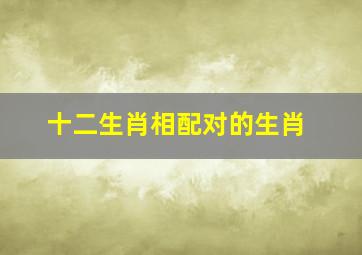 十二生肖相配对的生肖