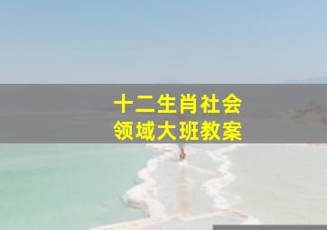 十二生肖社会领域大班教案