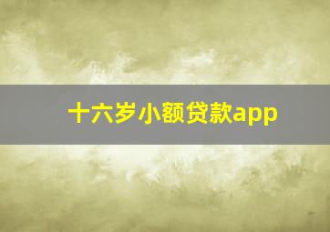 十六岁小额贷款app