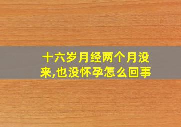 十六岁月经两个月没来,也没怀孕怎么回事