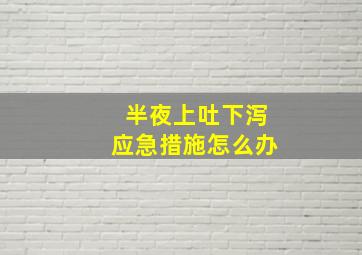 半夜上吐下泻应急措施怎么办