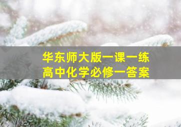 华东师大版一课一练高中化学必修一答案