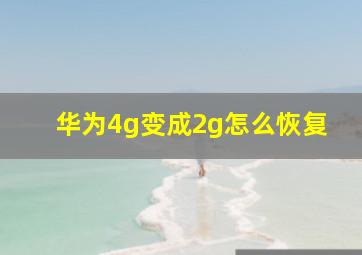 华为4g变成2g怎么恢复