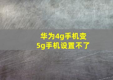 华为4g手机变5g手机设置不了