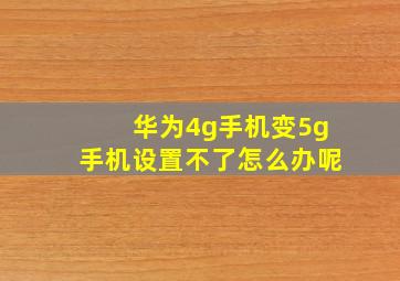 华为4g手机变5g手机设置不了怎么办呢