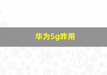 华为5g咋用