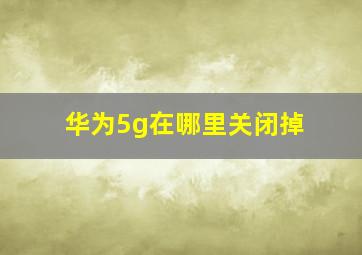 华为5g在哪里关闭掉