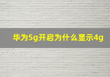 华为5g开启为什么显示4g