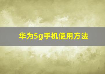 华为5g手机使用方法