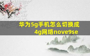 华为5g手机怎么切换成4g网络nove9se