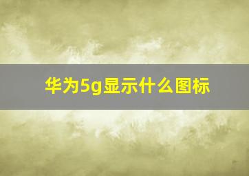 华为5g显示什么图标