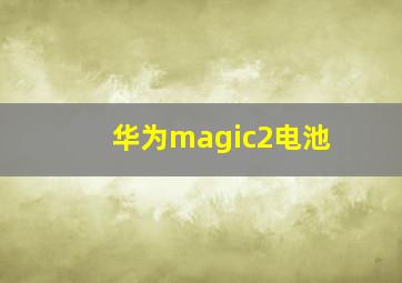 华为magic2电池