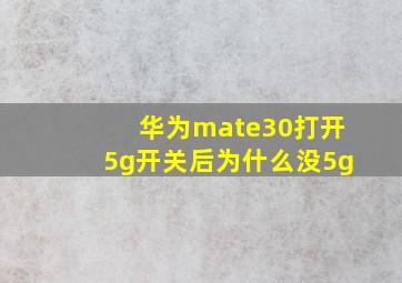 华为mate30打开5g开关后为什么没5g