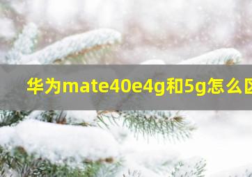 华为mate40e4g和5g怎么区分