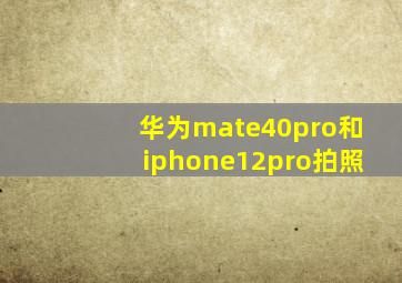 华为mate40pro和iphone12pro拍照