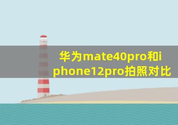 华为mate40pro和iphone12pro拍照对比