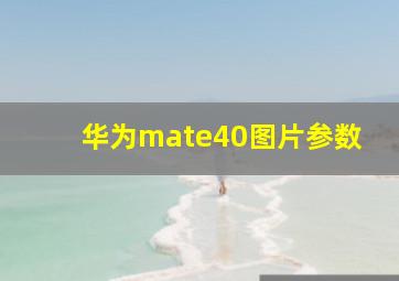 华为mate40图片参数