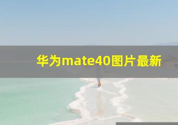 华为mate40图片最新