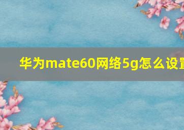 华为mate60网络5g怎么设置