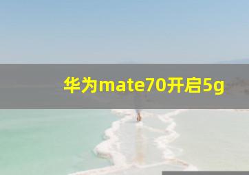 华为mate70开启5g