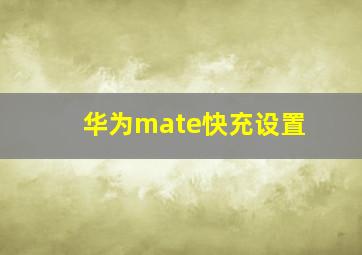 华为mate快充设置