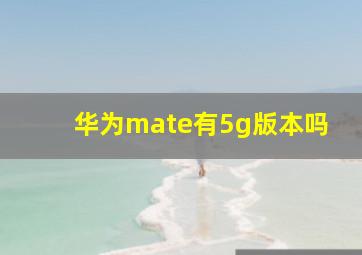 华为mate有5g版本吗