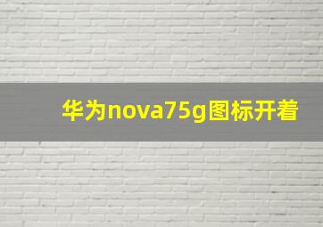 华为nova75g图标开着