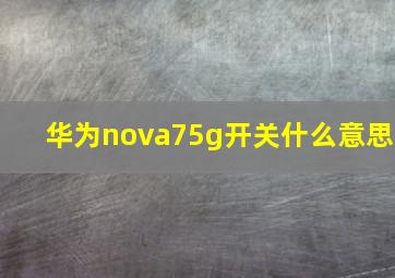 华为nova75g开关什么意思