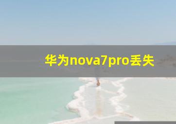 华为nova7pro丢失