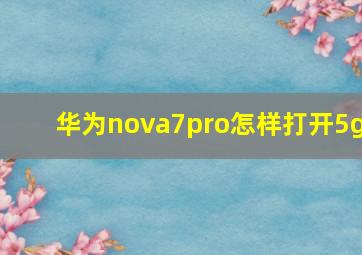 华为nova7pro怎样打开5g