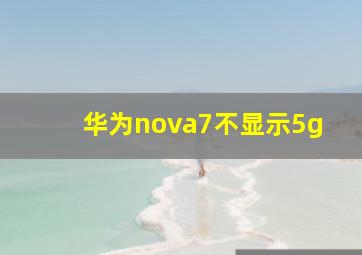 华为nova7不显示5g