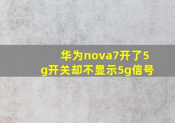 华为nova7开了5g开关却不显示5g信号