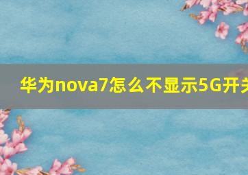 华为nova7怎么不显示5G开关