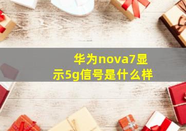 华为nova7显示5g信号是什么样