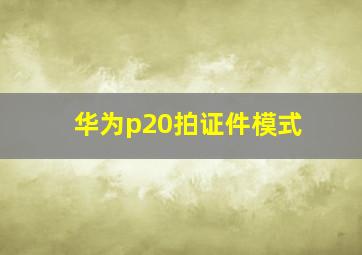 华为p20拍证件模式