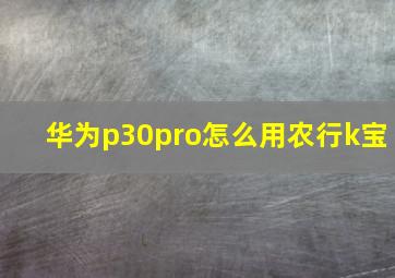 华为p30pro怎么用农行k宝