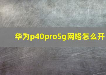 华为p40pro5g网络怎么开