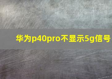 华为p40pro不显示5g信号