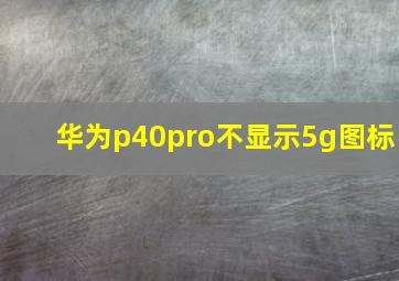 华为p40pro不显示5g图标