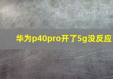 华为p40pro开了5g没反应