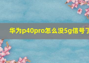 华为p40pro怎么没5g信号了