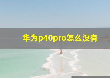 华为p40pro怎么没有