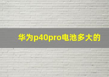 华为p40pro电池多大的