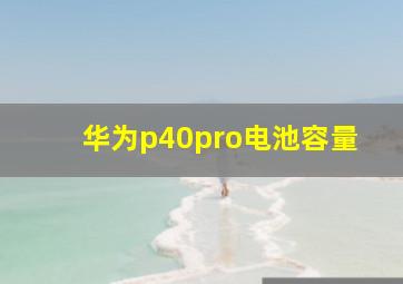 华为p40pro电池容量