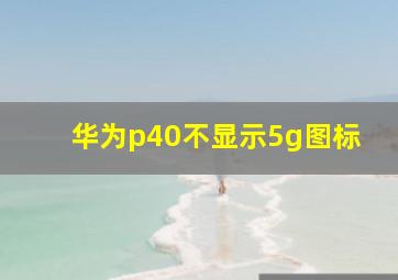 华为p40不显示5g图标